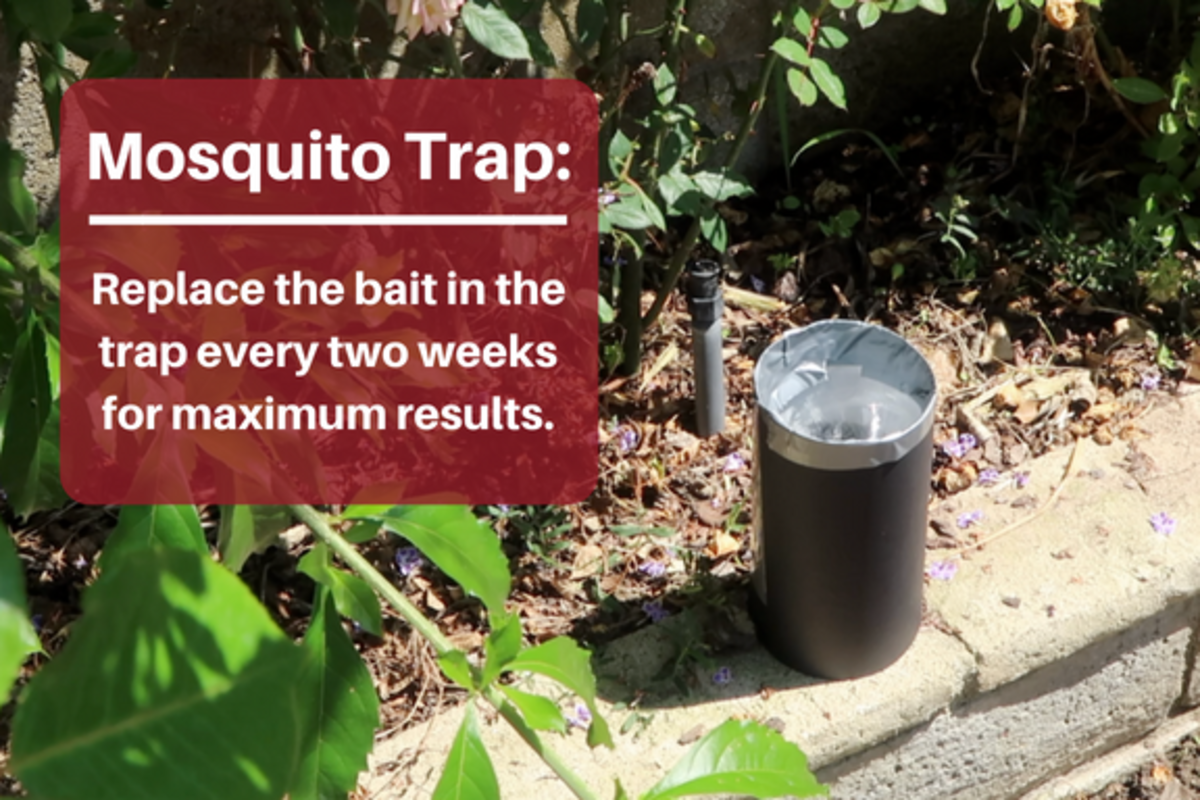 How To Make A Homemade Mosquito Trap