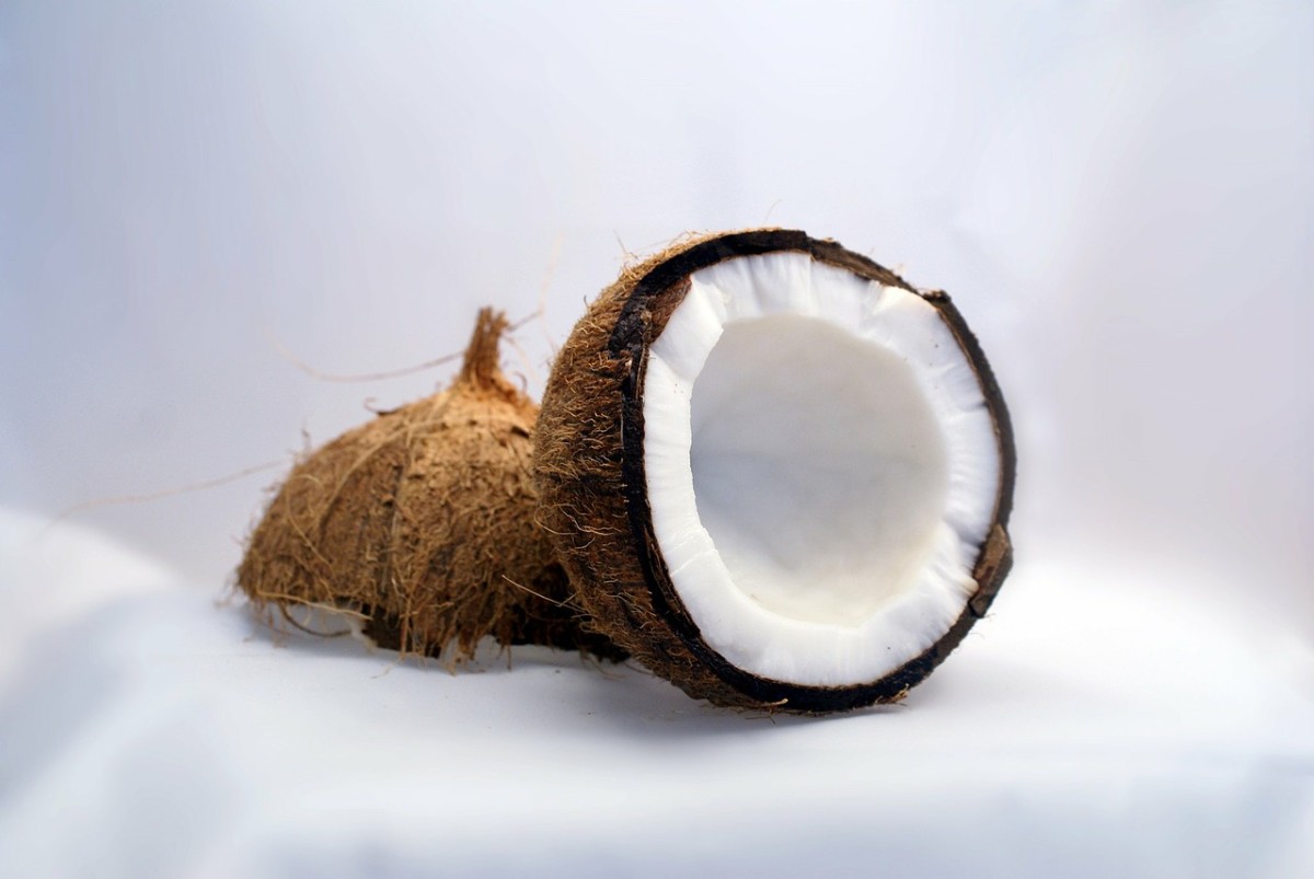 A coconut with its shell opened.