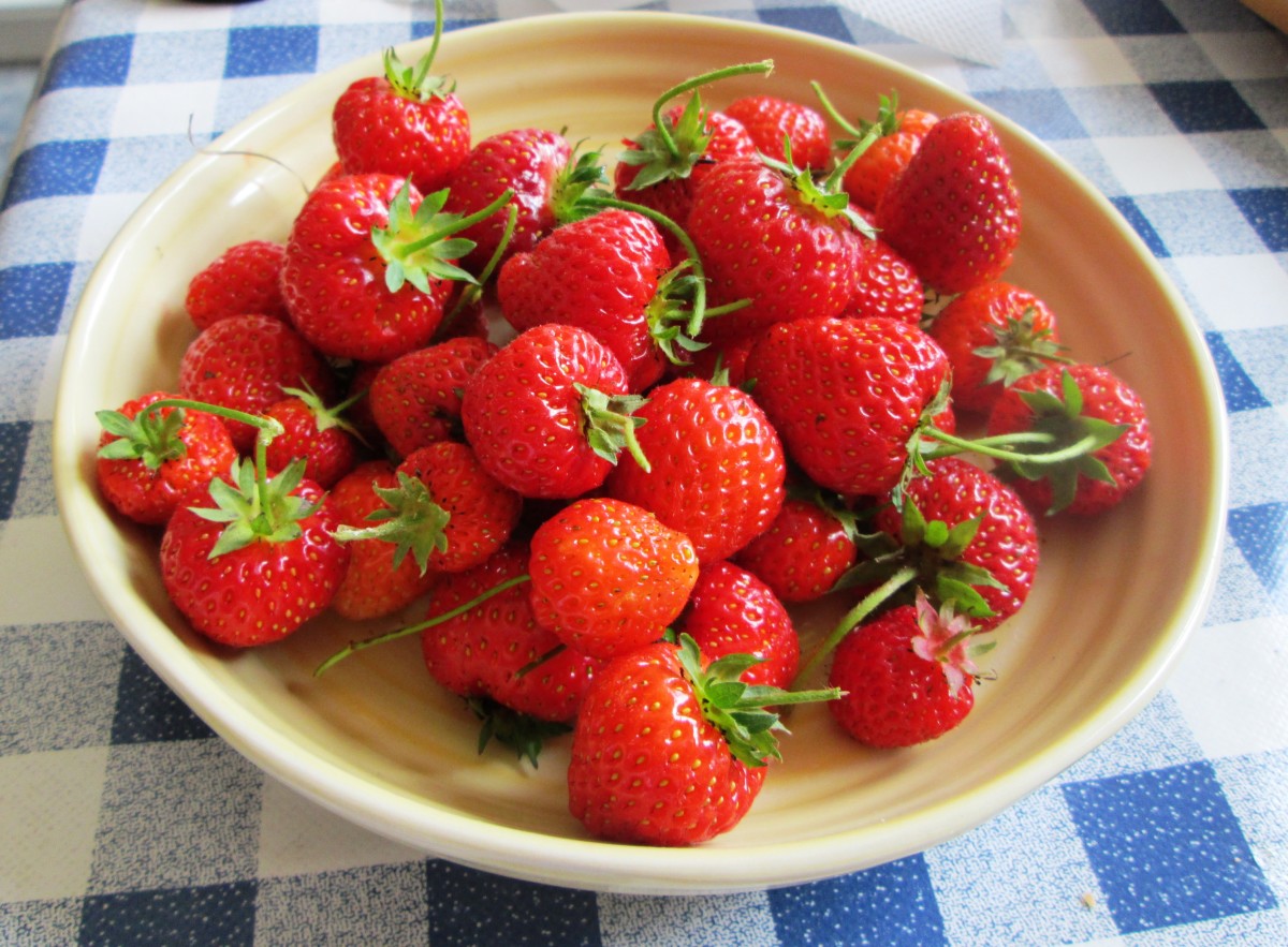 Strawberries Picked Fresh 