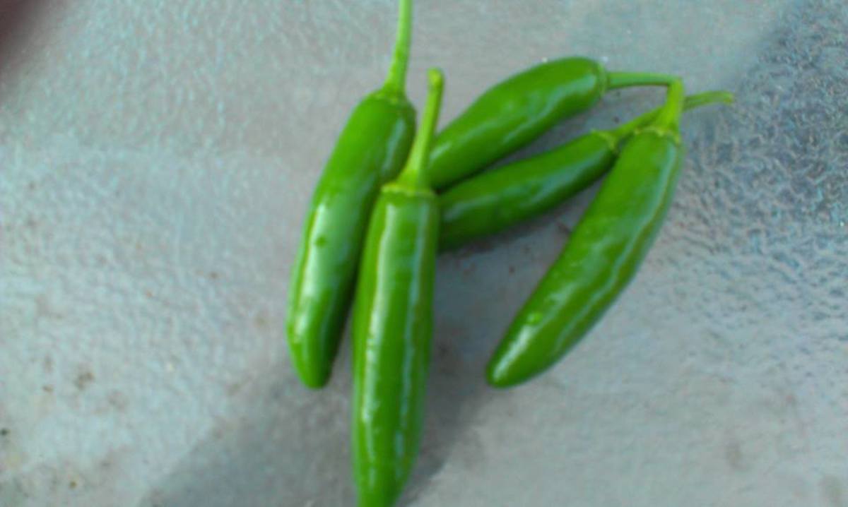 Serrano Peppers