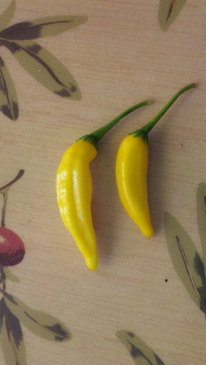 Hot Lemon Peppers