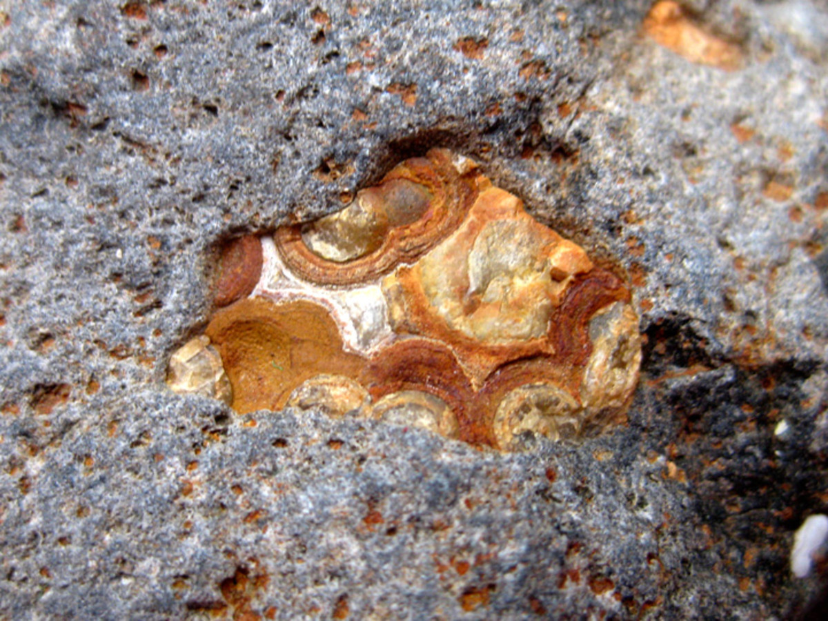 Fossicking at Phillip Island (Agates in Basalt and More)