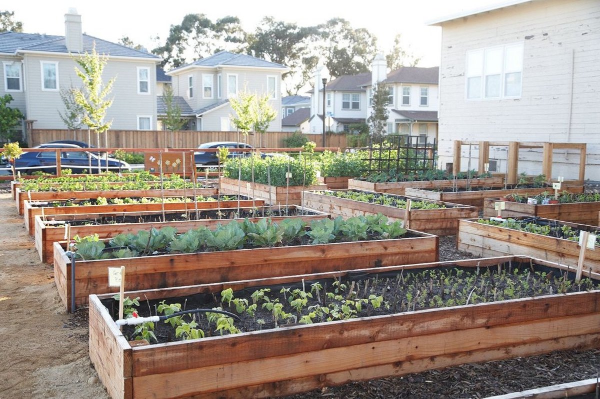 Cost To Build Raised Garden Beds Kobo Building