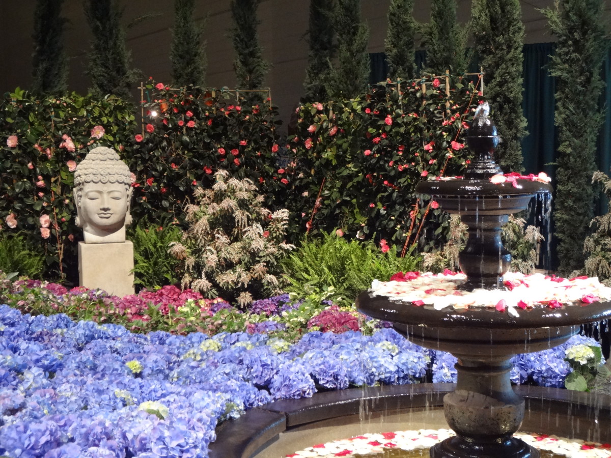 Tranquil garden from Chicago Flower and Garden Show 2014