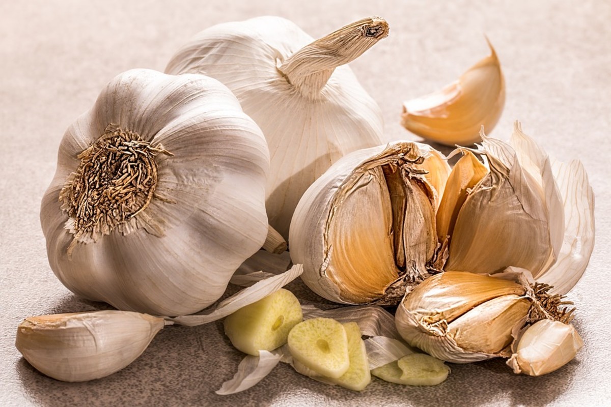 a-guide-to-growing-garlic