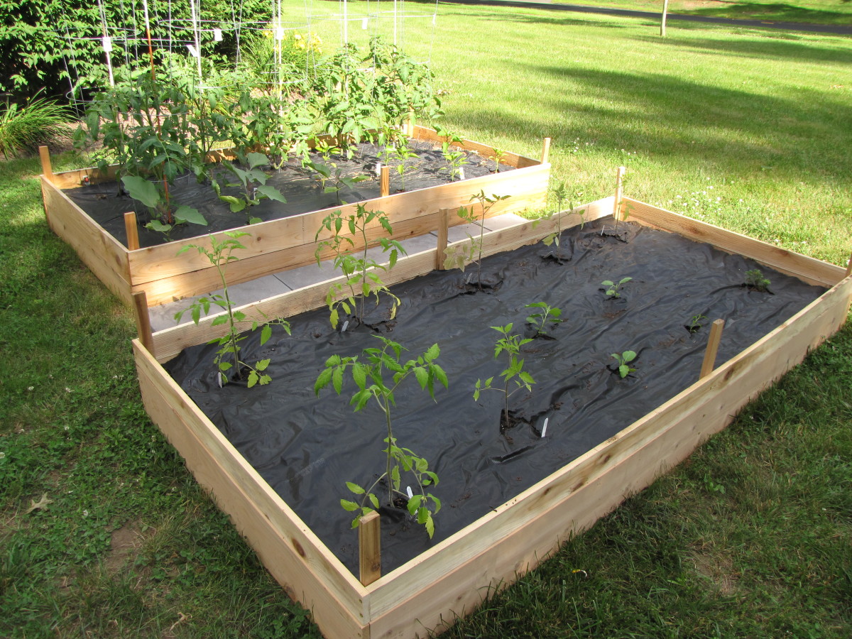 The functioning raised bed