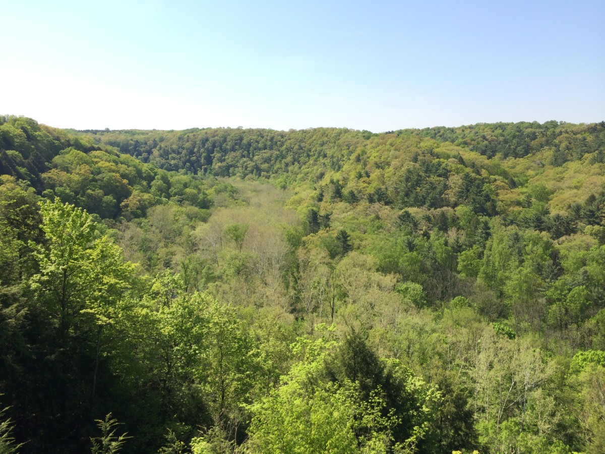 A sunny shot of Hemlock Gorge in mid May