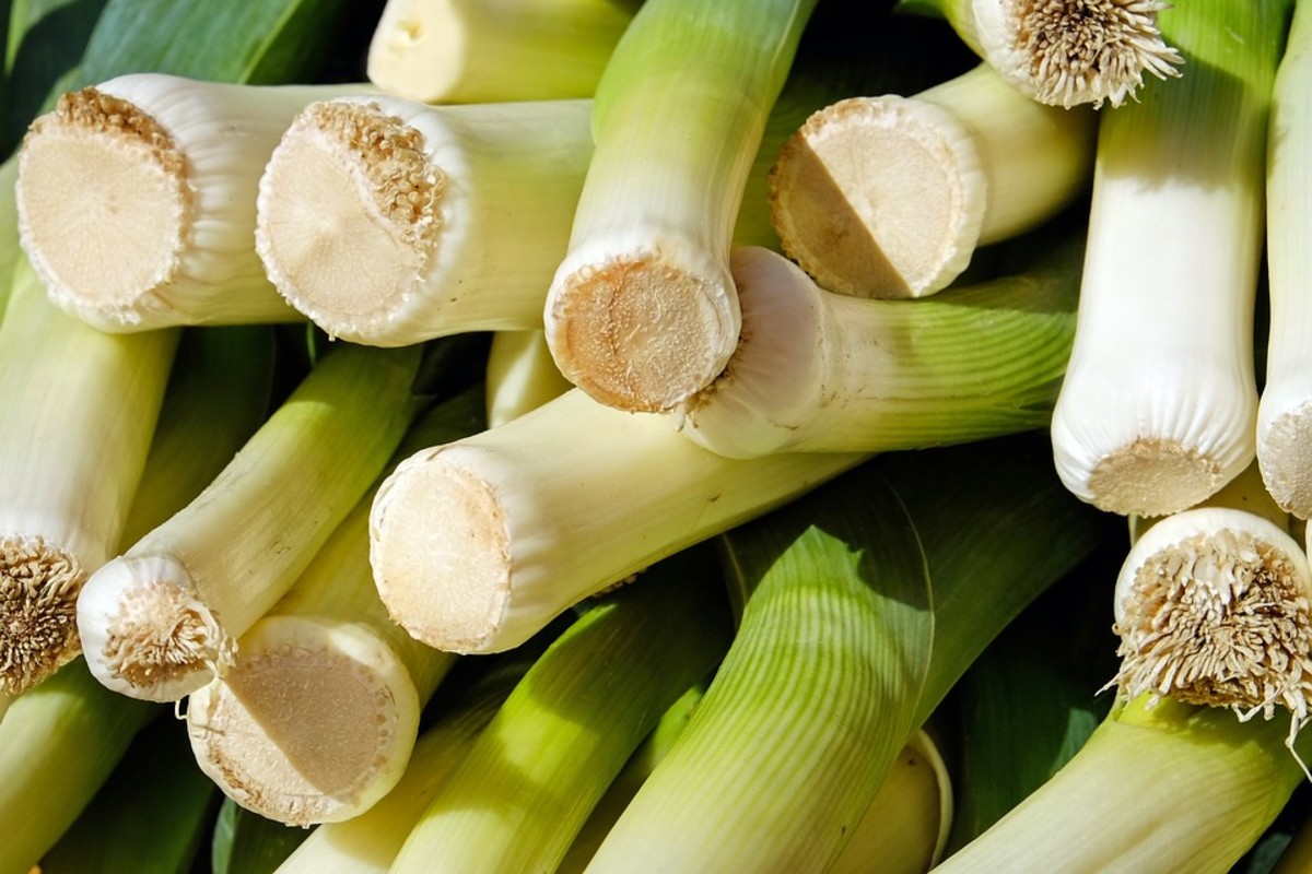 Leeks are green if they aren't blanched