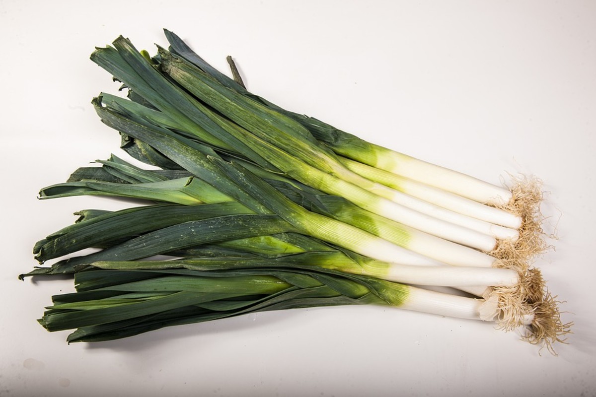How to Grow Leeks