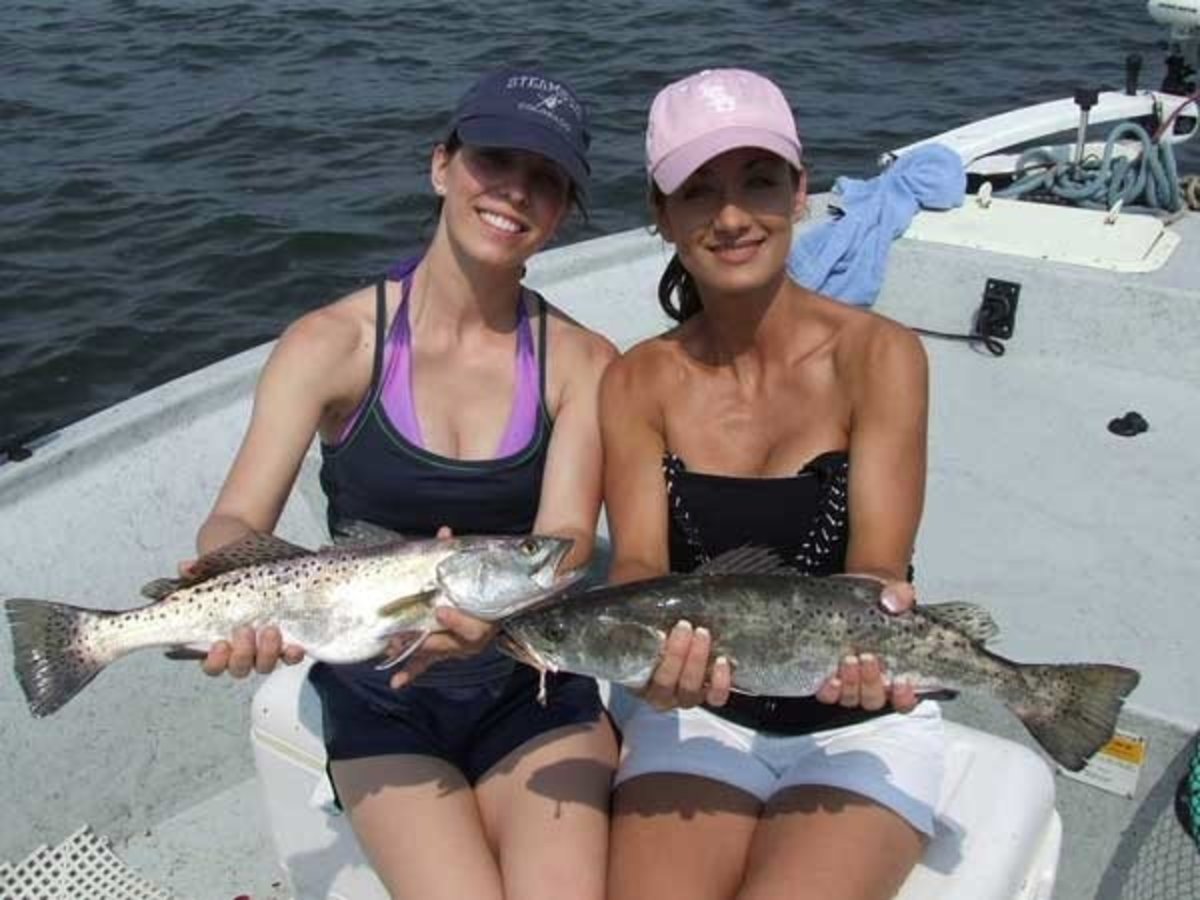 A couple of 'gator' trout caught in La.