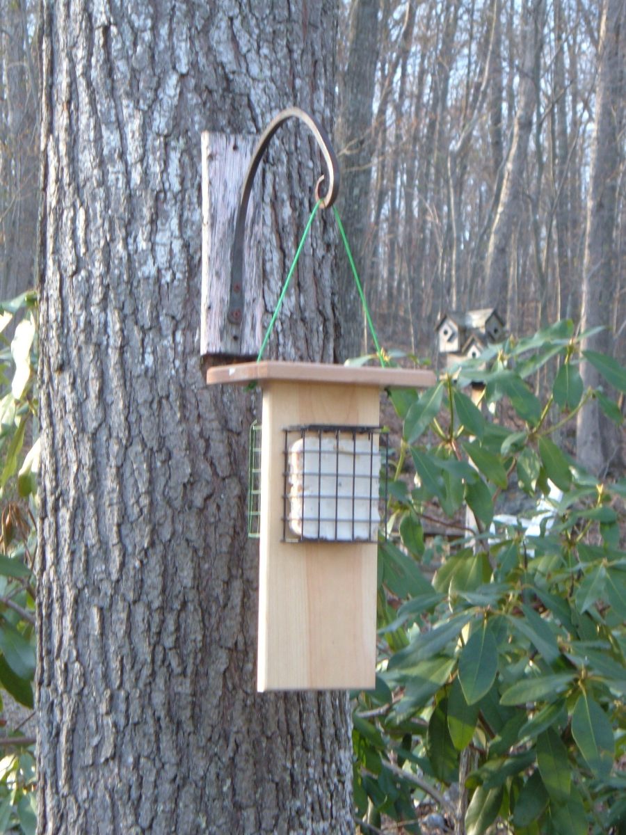 DIY Decorative Bird Seed Storage  Bird seed storage, Seed storage, Bird  seed