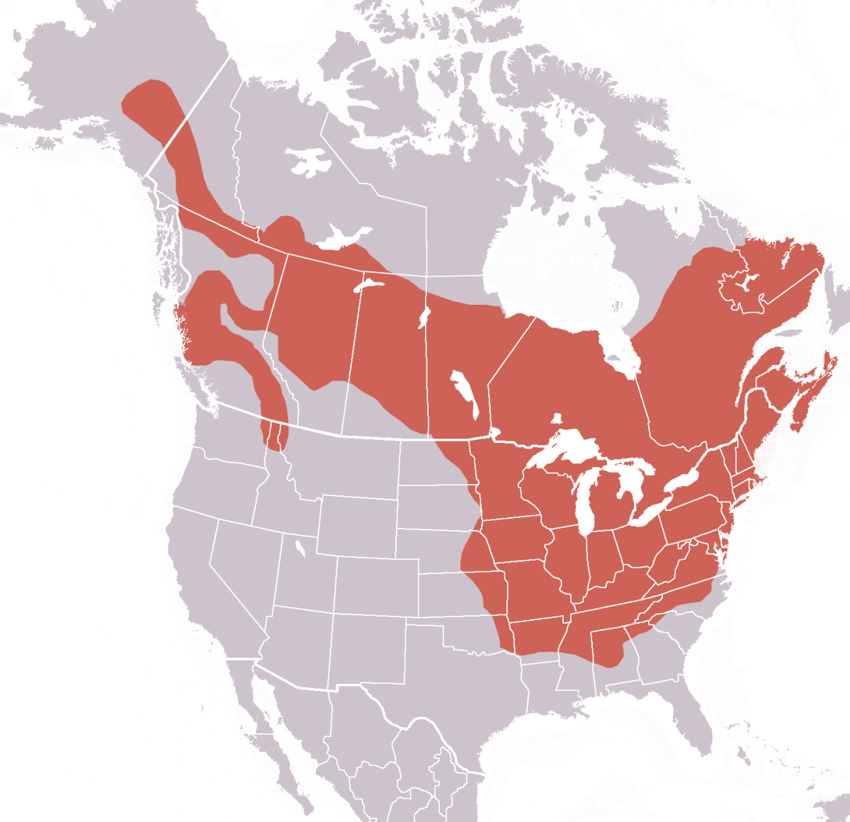 Groundhog Range Map