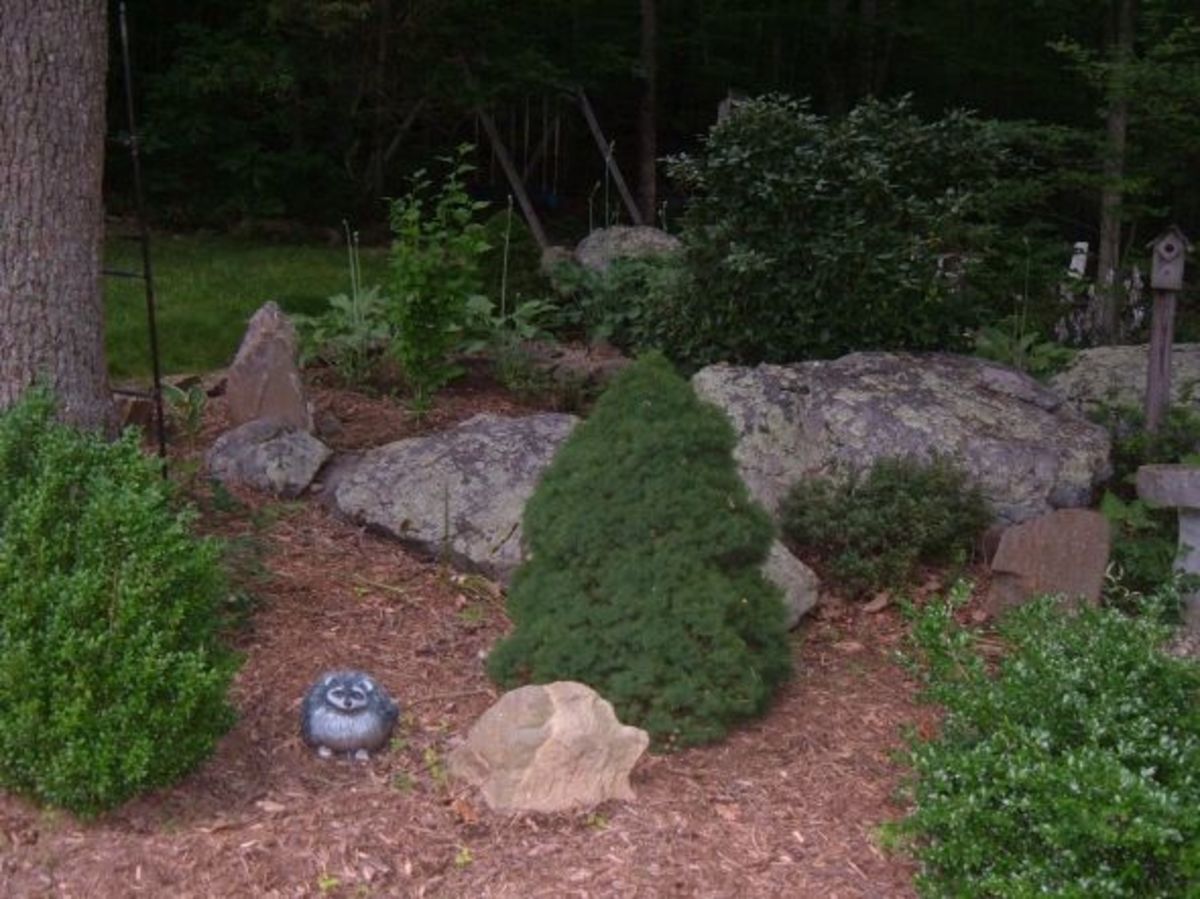 How We Designed Our Rock Garden Landscaping Our Yard With Rocks And Boulders Dengarden