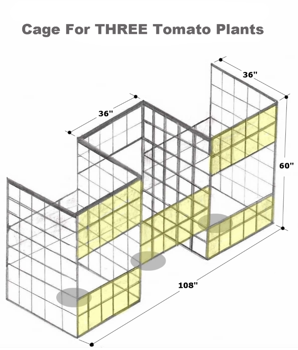 Drawing by Robert Kernodle of a homemade three-compartment tomato cage.