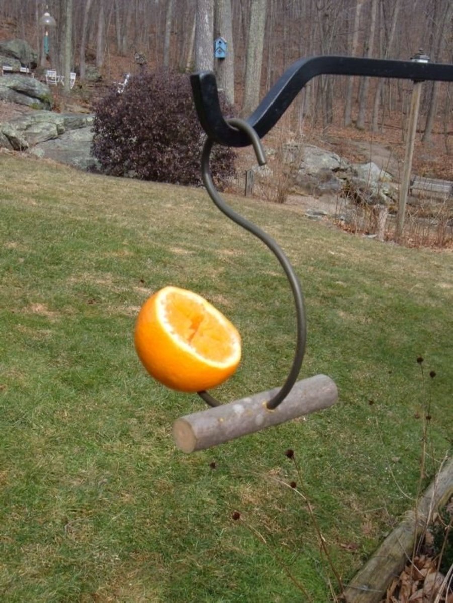 This oriole feeder is handmade from a recycled metal rod