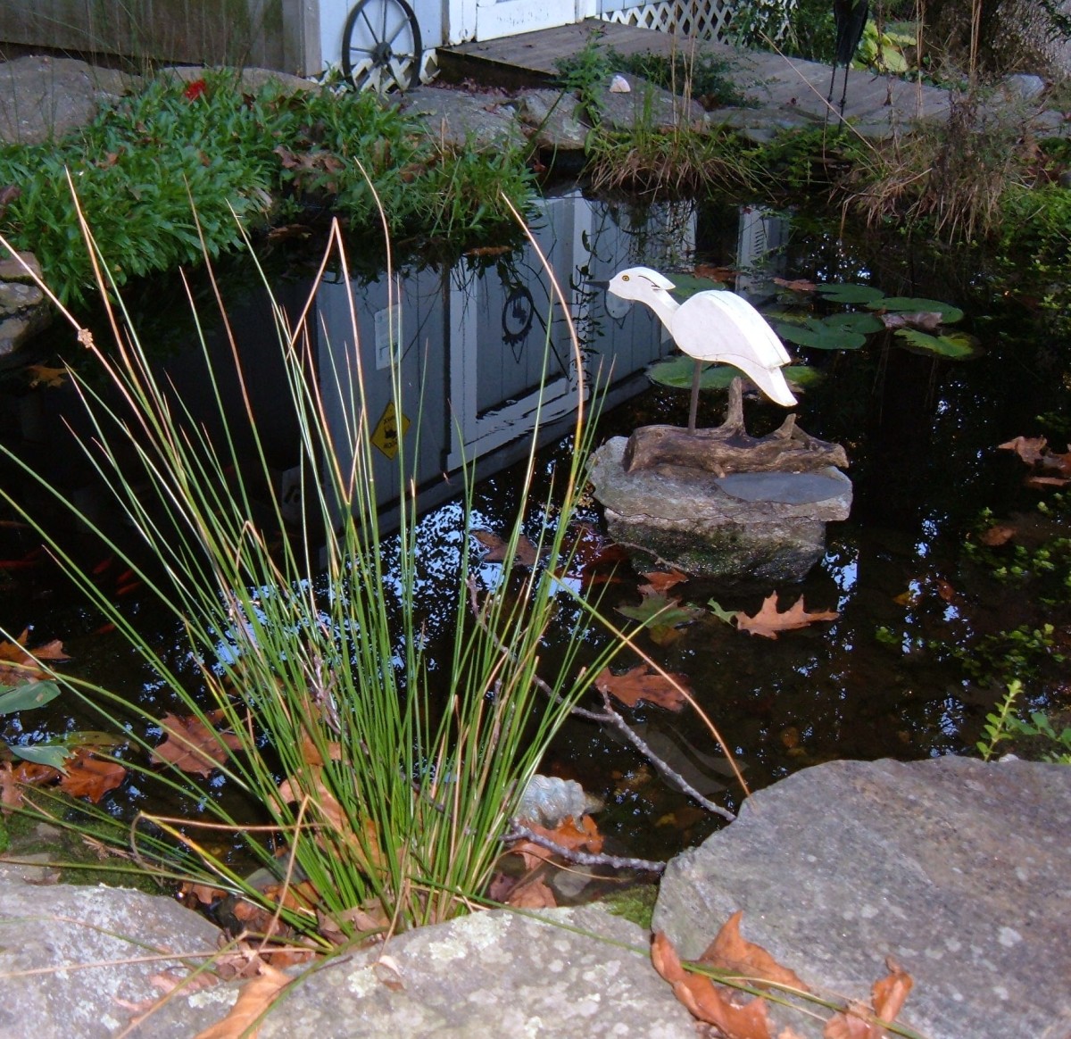 How to Winterize Your Pond A StepbyStep Guide Dengarden
