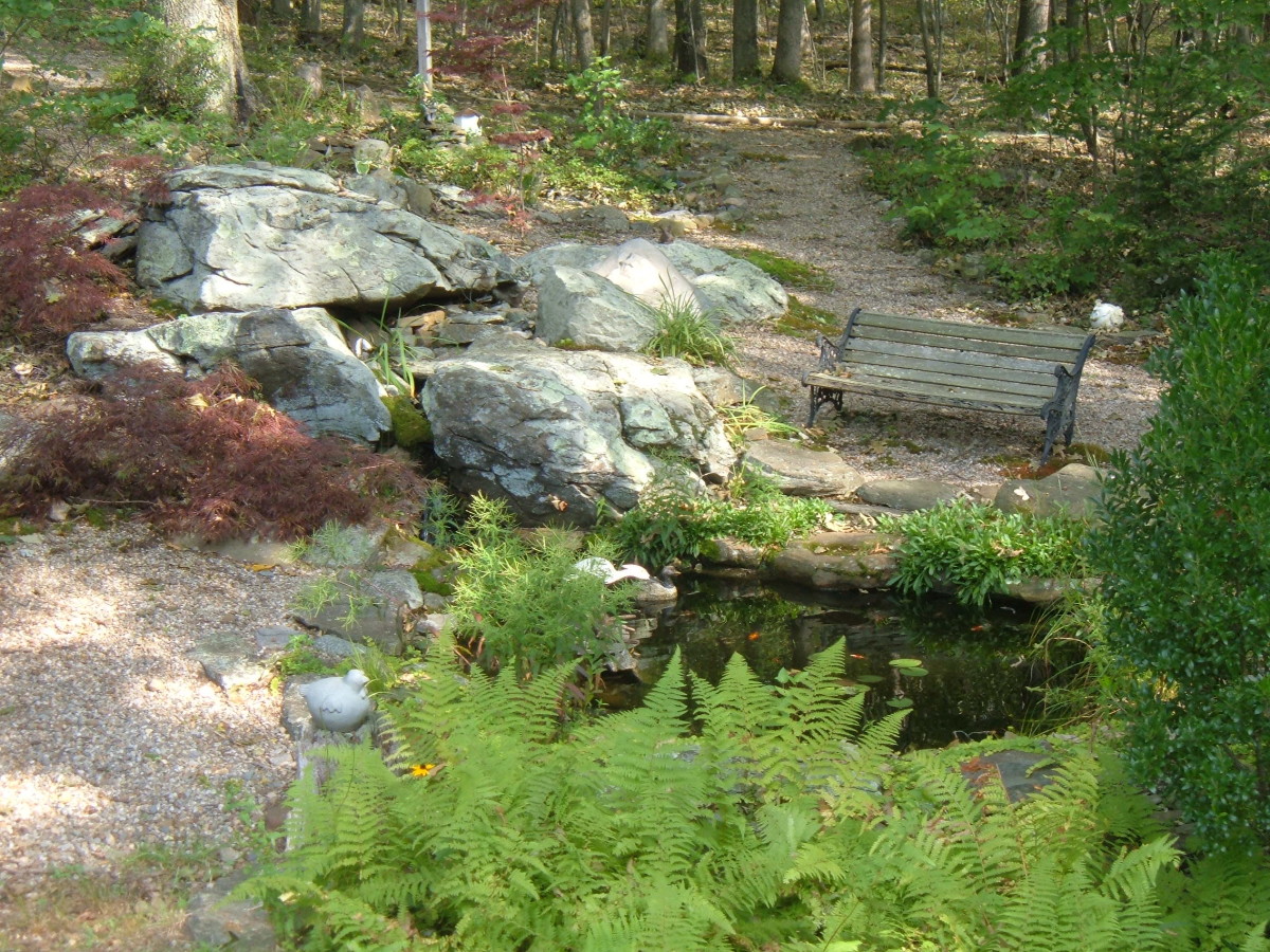 How to Winterize Your Pond A StepbyStep Guide Dengarden