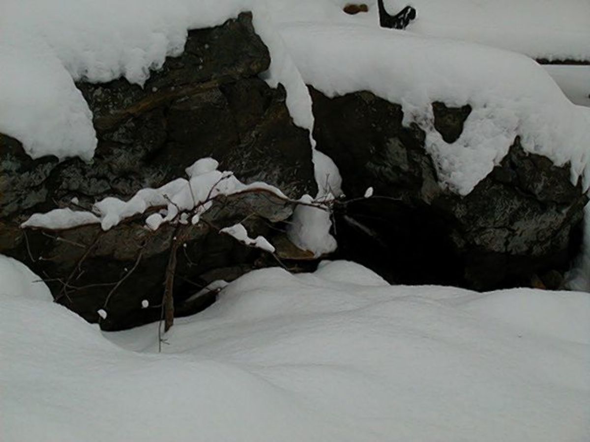 Our snow-covered waterfall. We keep the pond pump running all winter to create an open area under the waterfall.