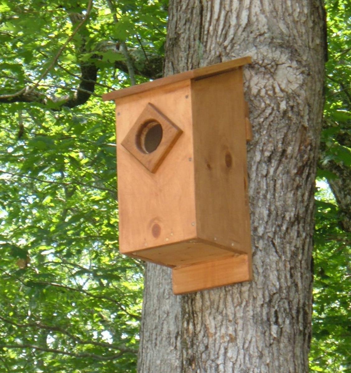 Screech Owl House Plans How To Build A Screech Owl Box FeltMagnet