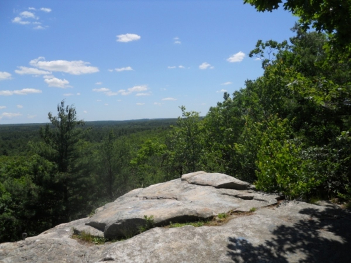 Hiking Mount Misery in the Pachaug State Forest, Voluntown, Connecticut/ View from the top of Mt. Misery.