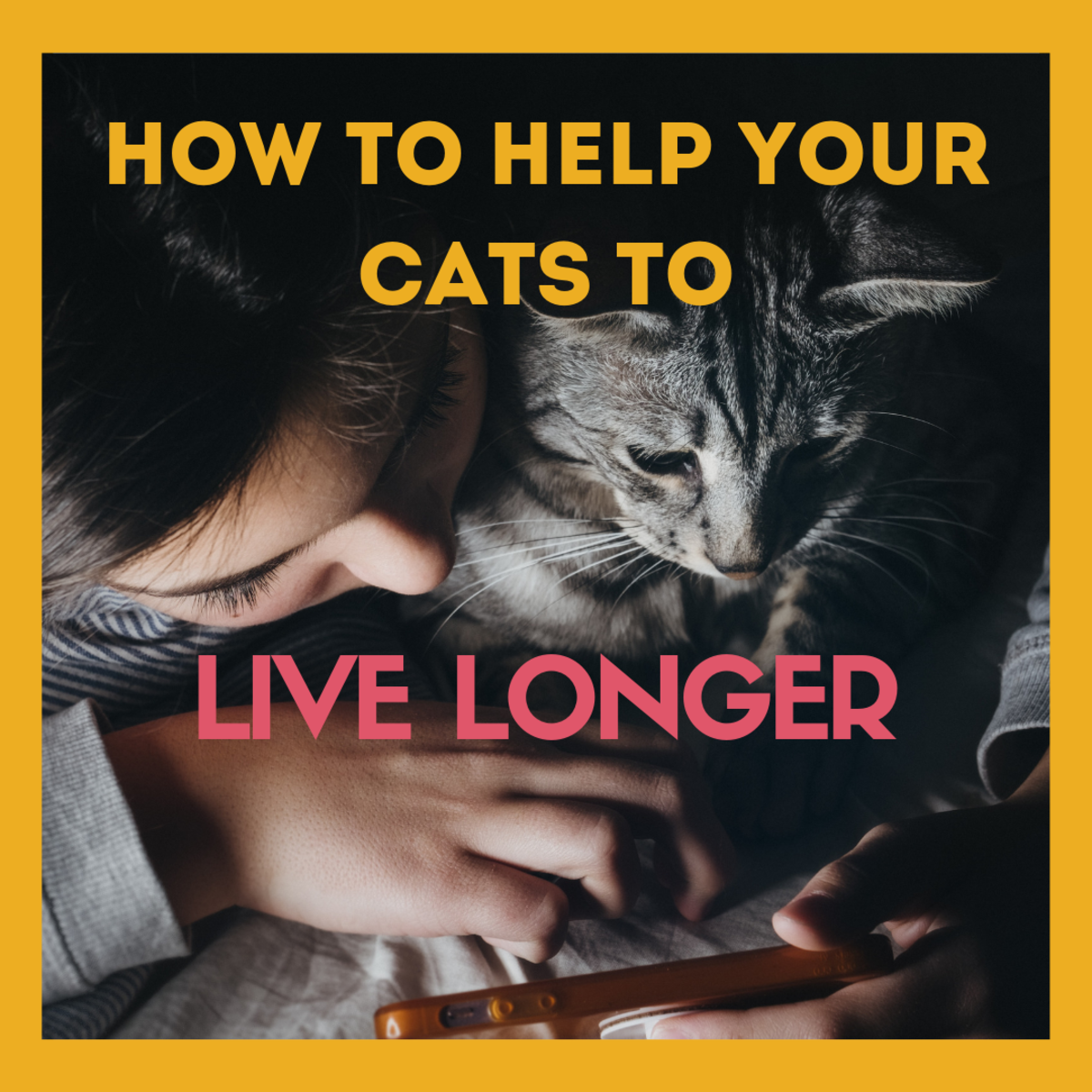 How to Help Your Cat Live Longer