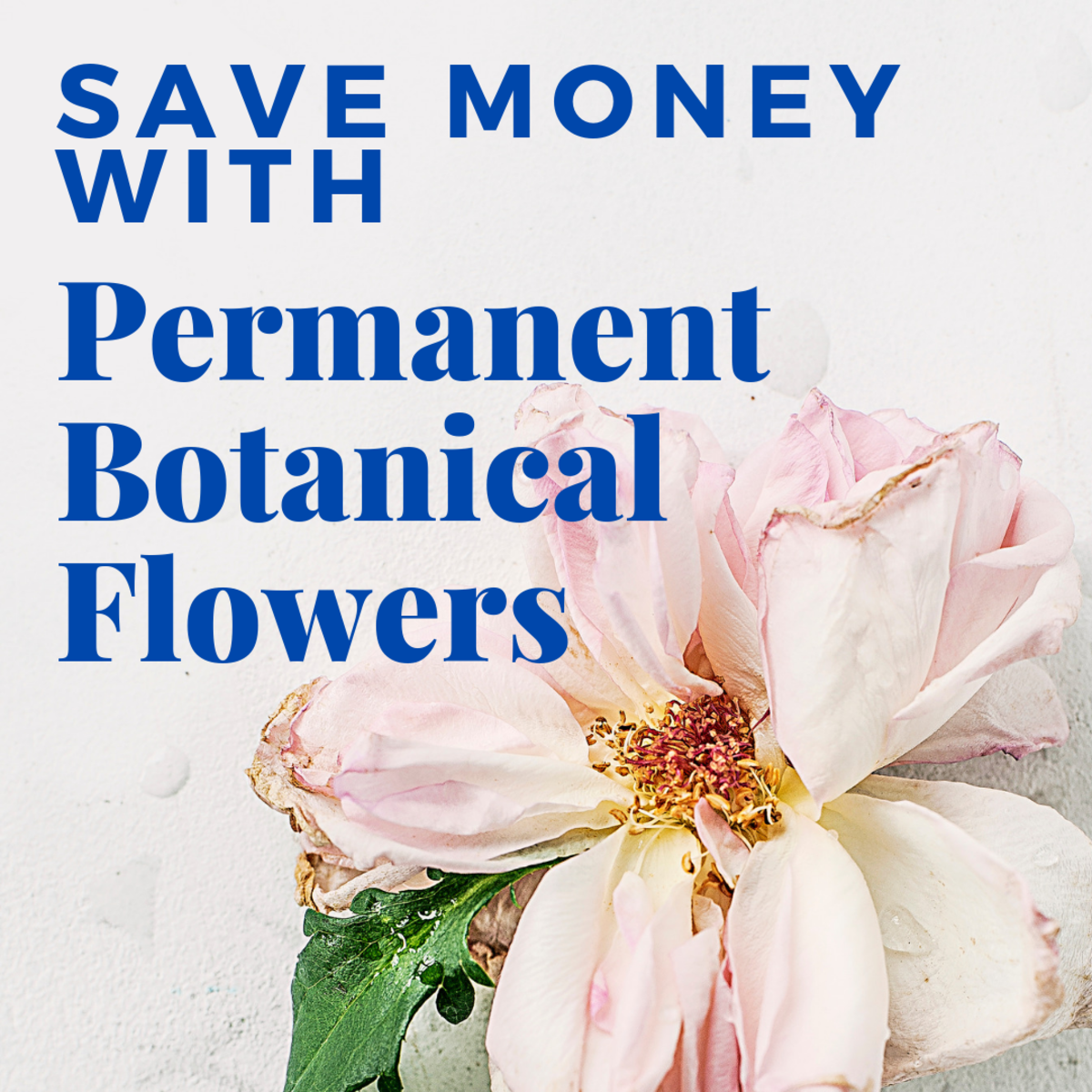 Permanent Botanical Flower Tips