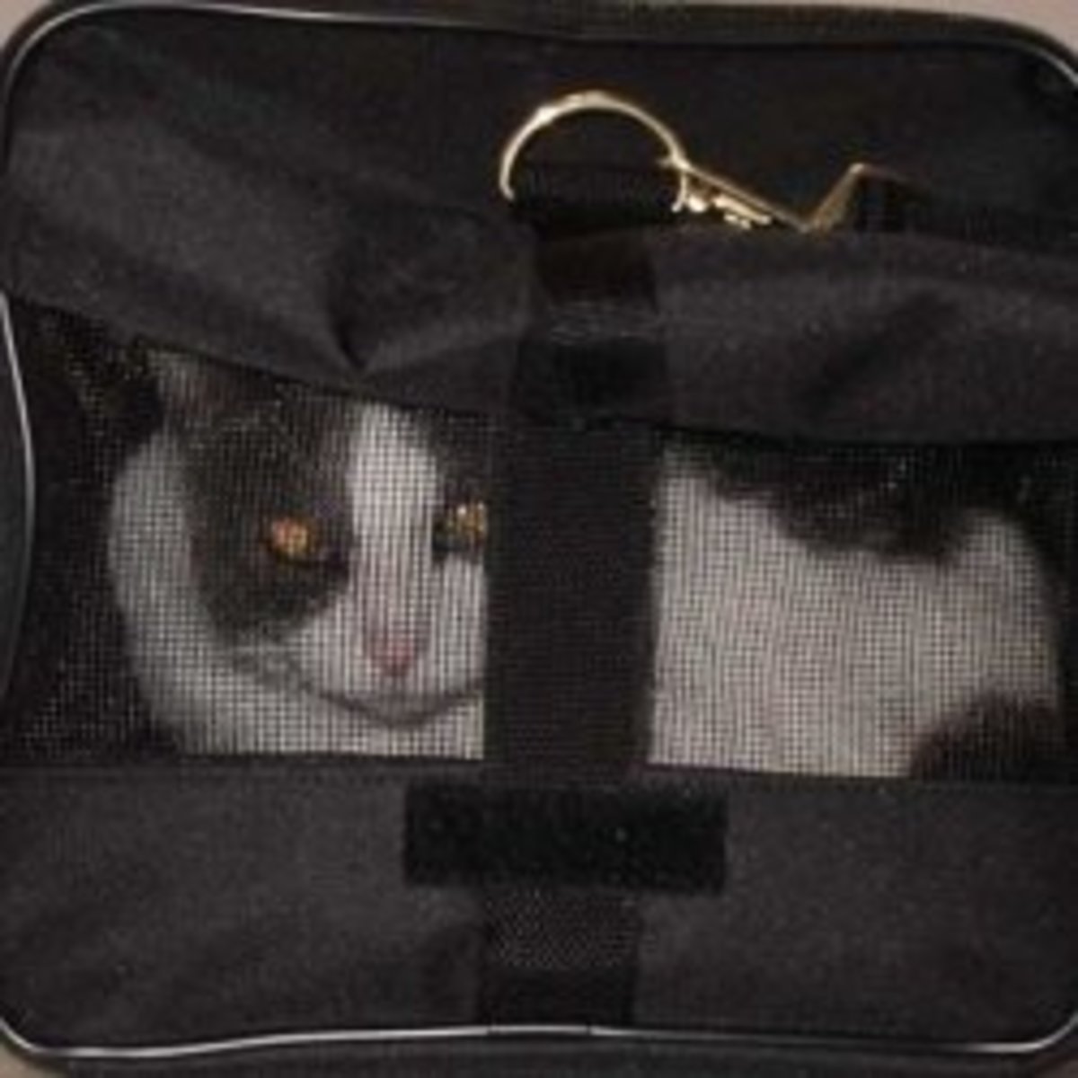 airline approved cat bag carrier