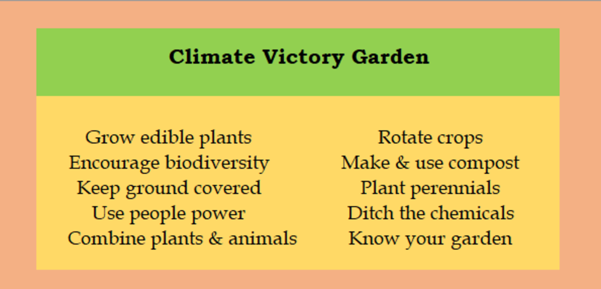 Climate Victory Garden Practices!