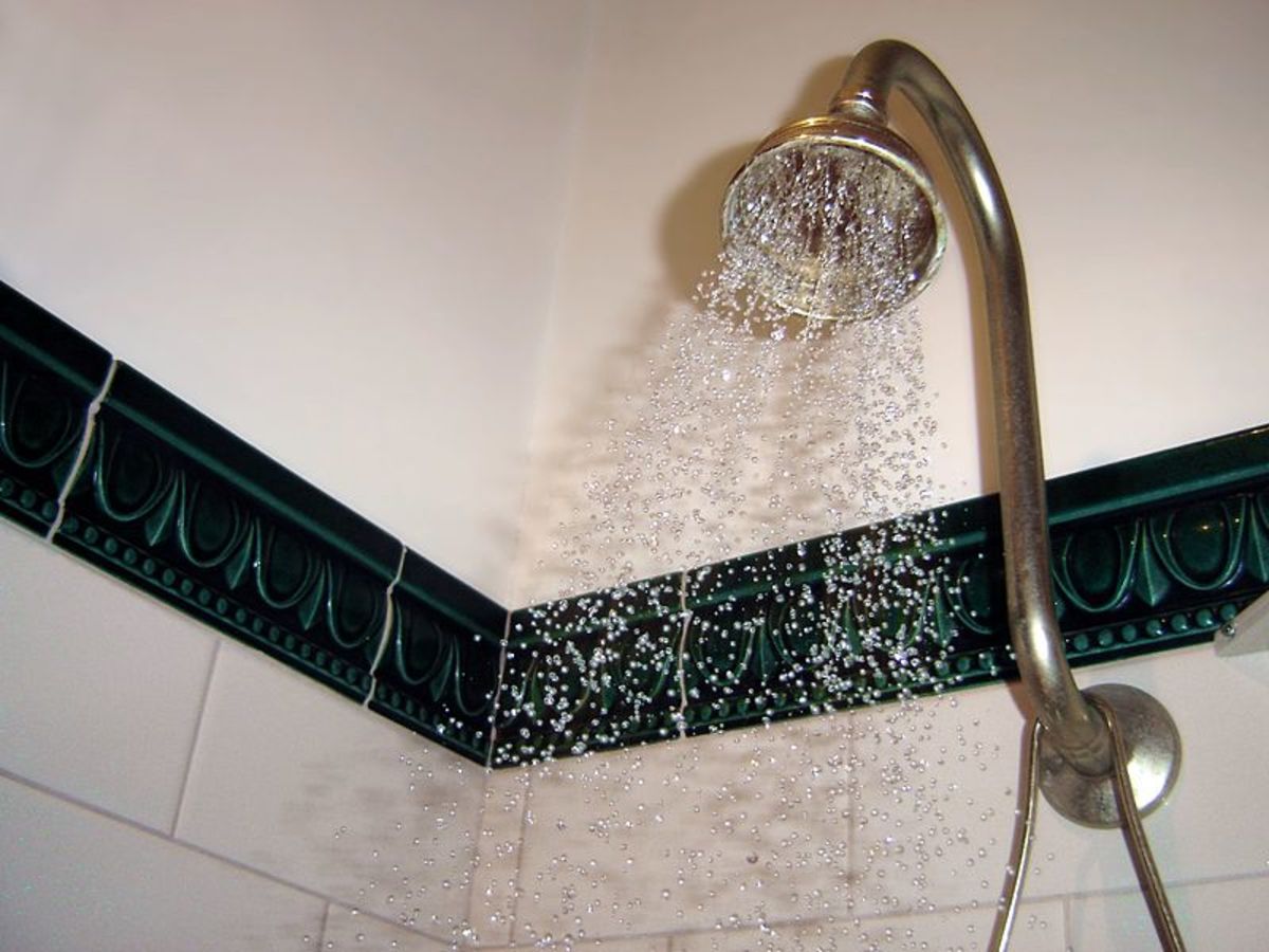 How to Move your Showerhead Up or Out - Dengarden