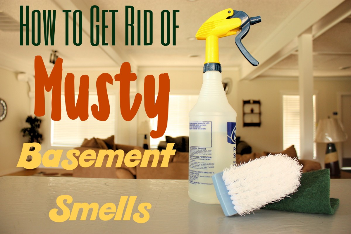 How to Get Rid of Musty Basement Smells (Plus Prevention Tips)