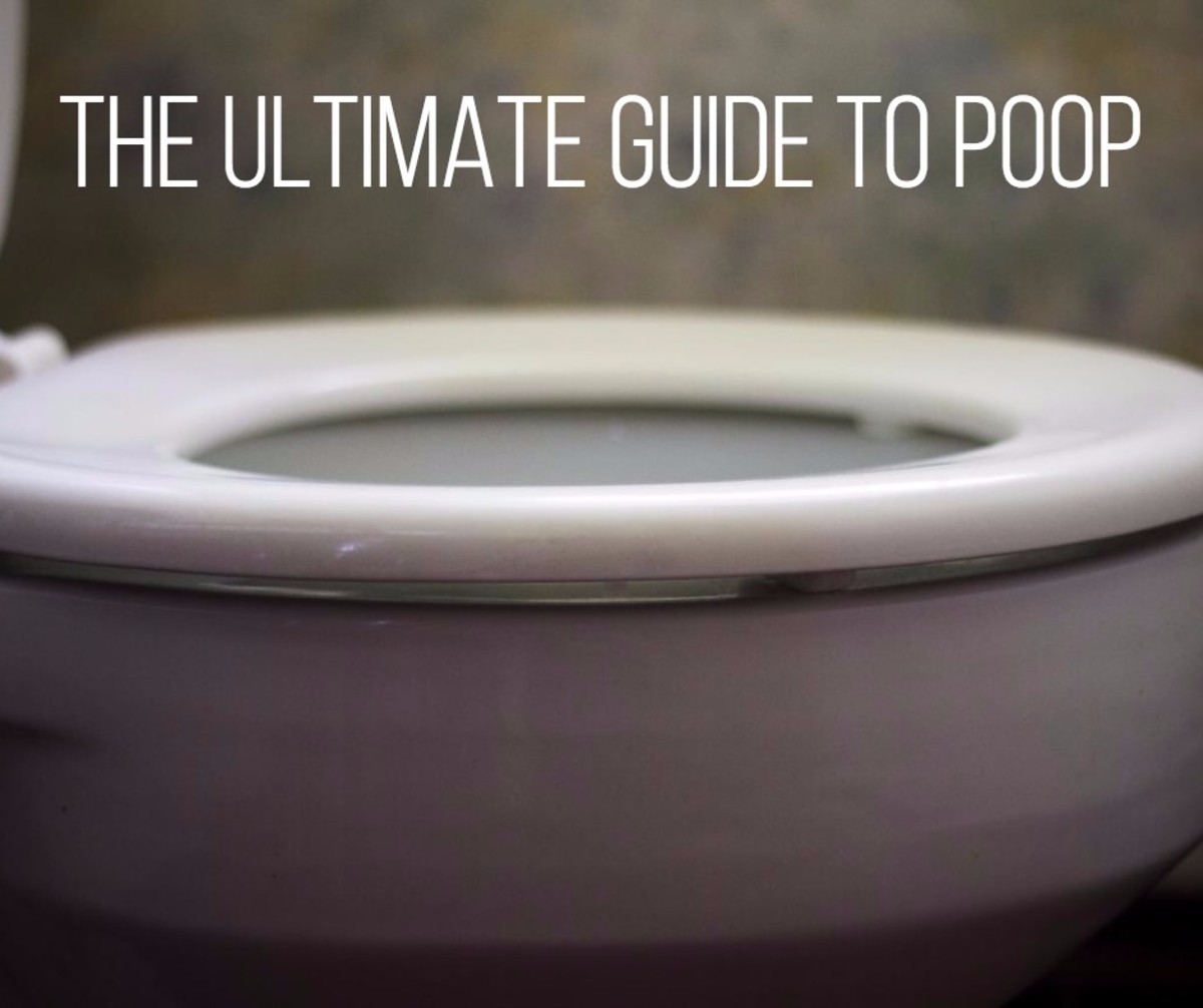 Poop Facts: Shapes, Colours, Abnormalities, and More
