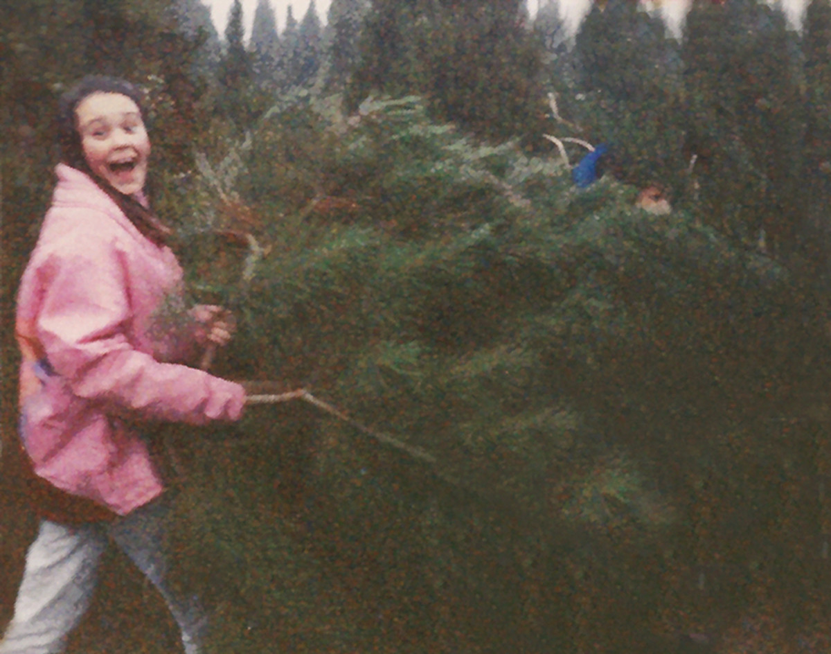 Christmas Traditions: Cutting Our Own Tree