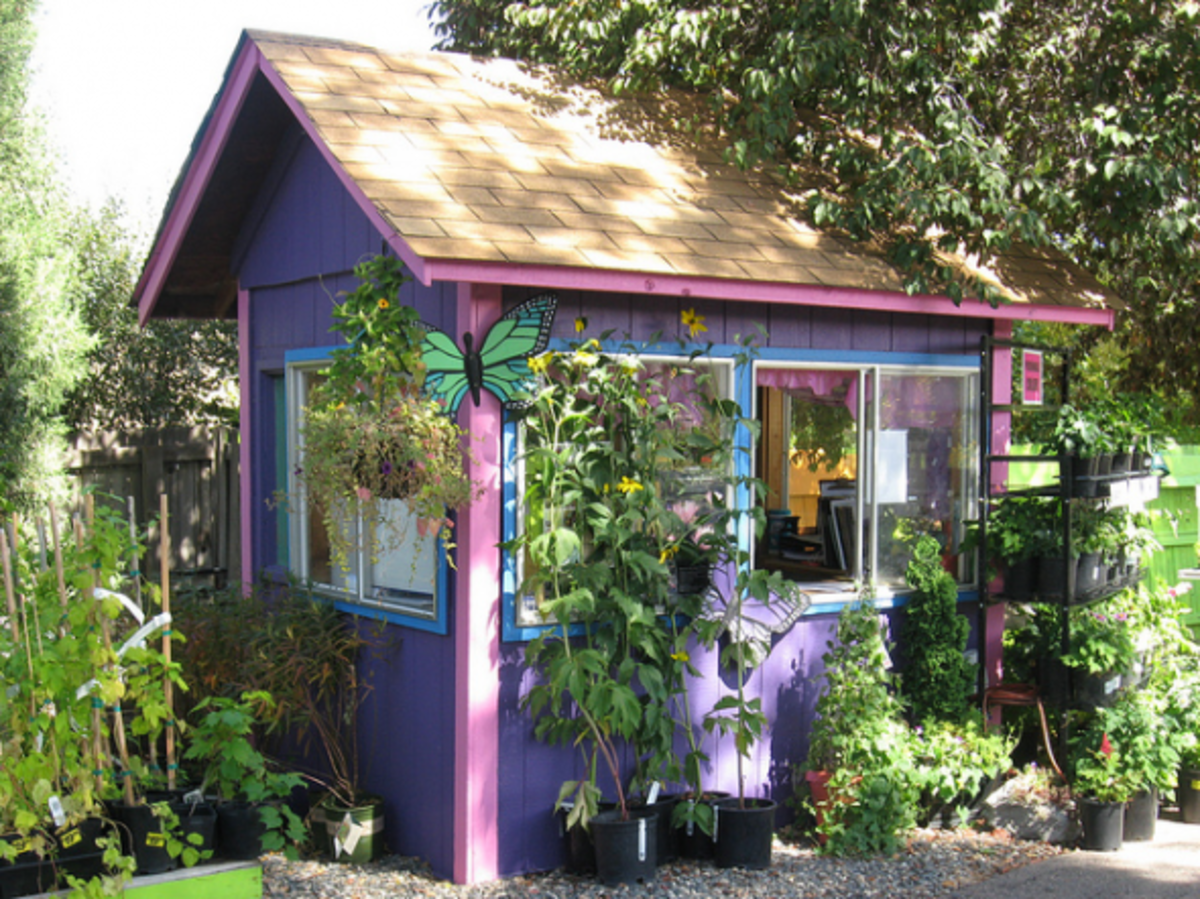 photos-of-the-coolest-sheds-free-shedworking-plans-ideas