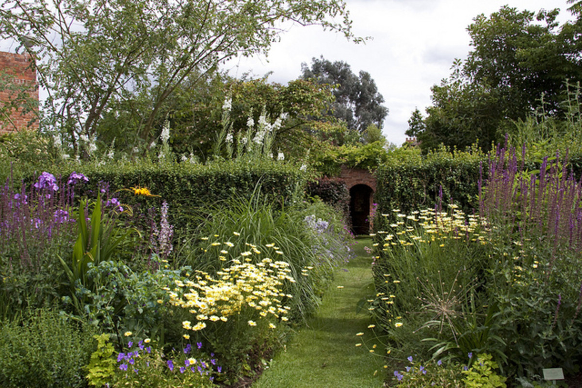 Border of perennial plants only seems effortless. It requires careful planning and regular care.