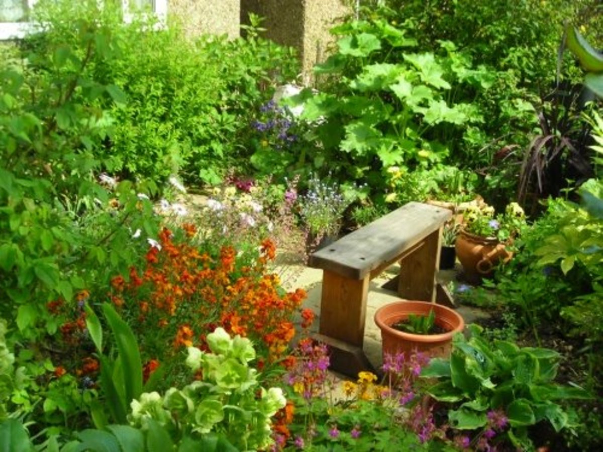 designing-small-front-garden