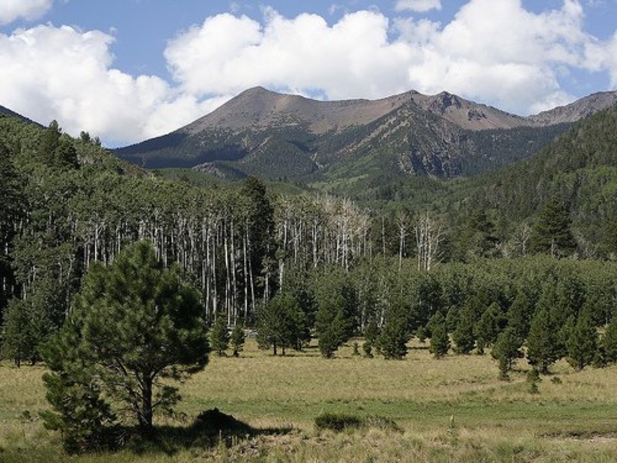 Coconino National Forest and the San Francisco Peaks