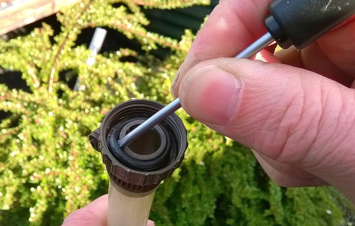 Remove the old O-ring with a screwdriver