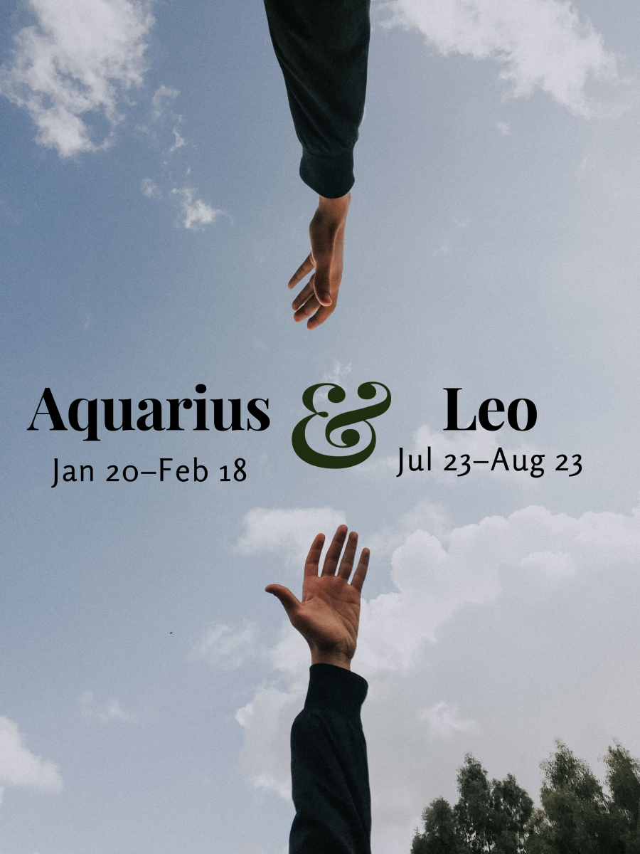 Why Leo man is attracted to Aquarius?