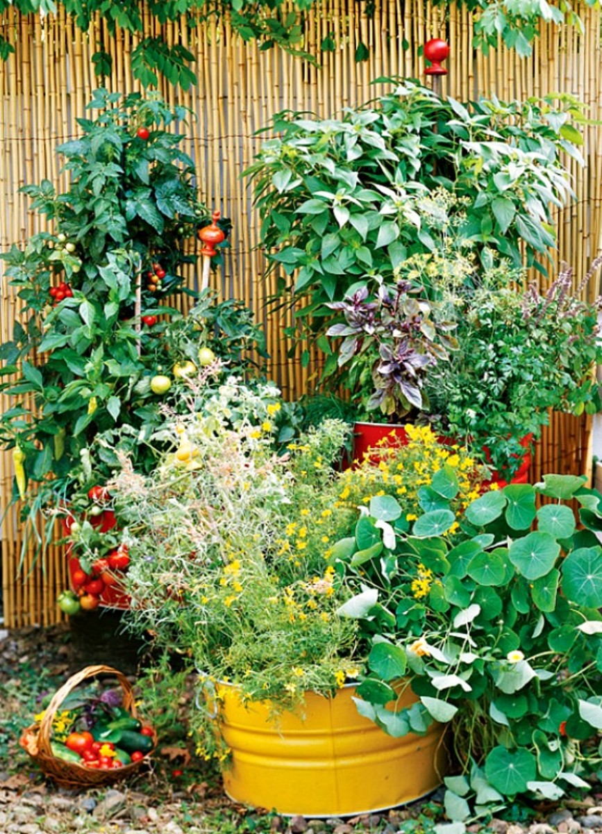 A good example of a small space container garden.