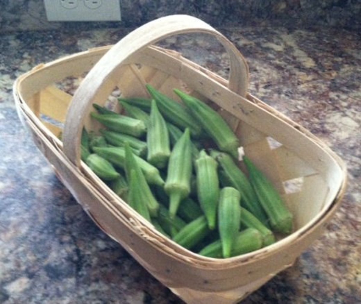 Freshly cut okra. Just look at this beautiful okra that was picked the morning this photo was taken. I grew it in my flower beds when my only dedicated garden space was a small herb garden.
