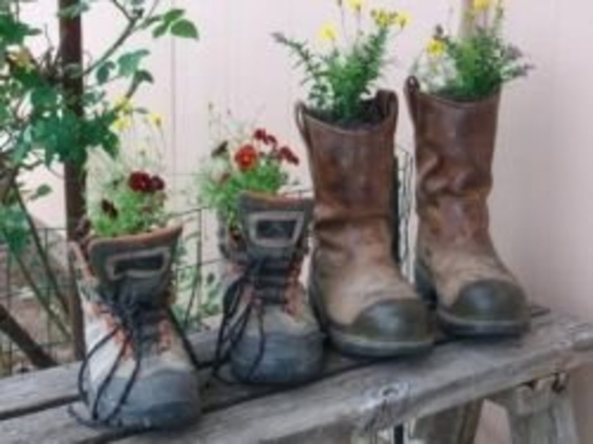 My recycled old boots flower pots