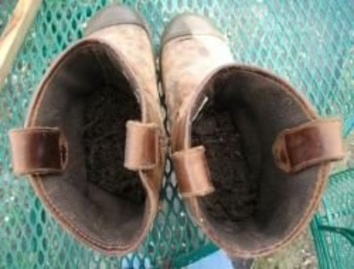Fill old boots with potting soil 