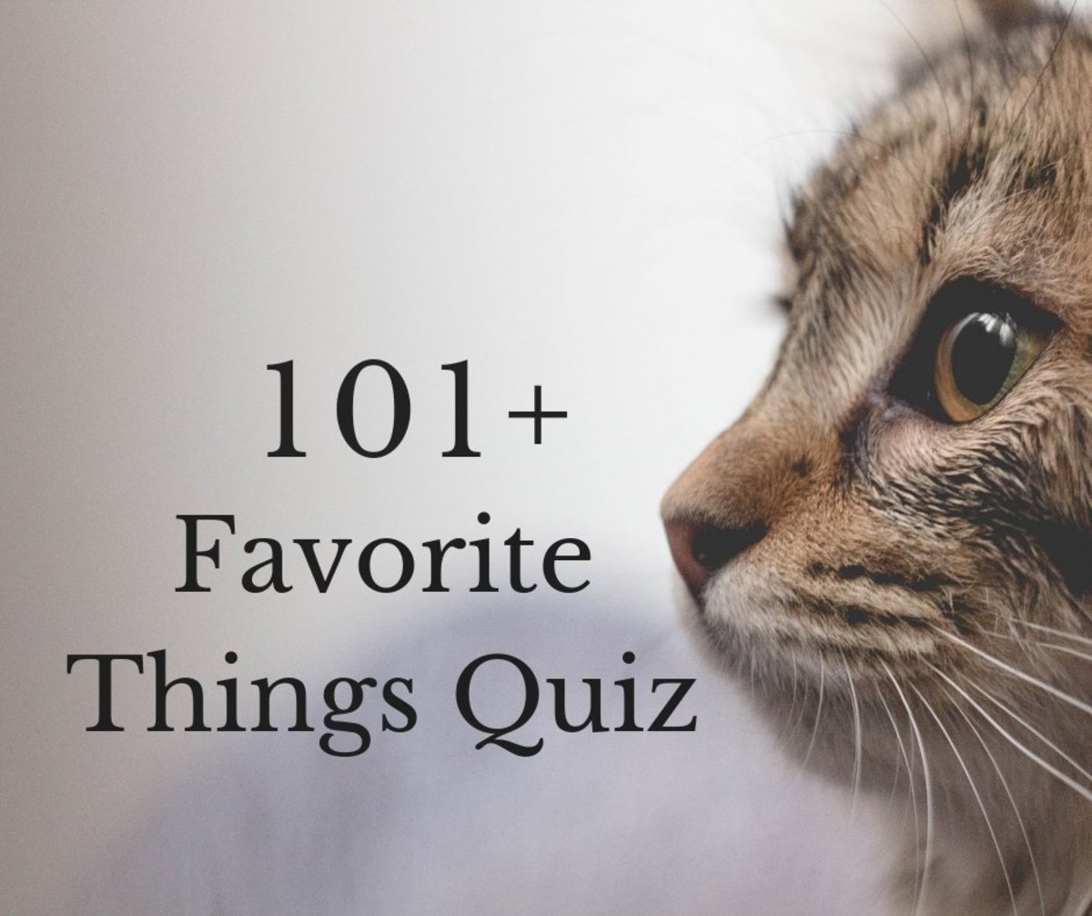 The 101 Favorite Things Quiz HobbyLark