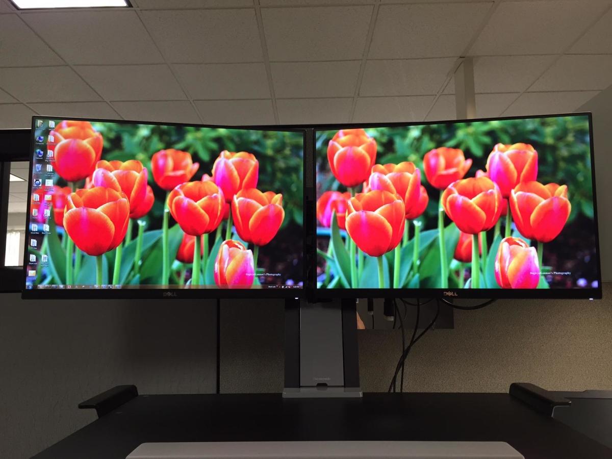 The Dell U2415 is a superb option for those looking for quality, value, and color accuracy. 