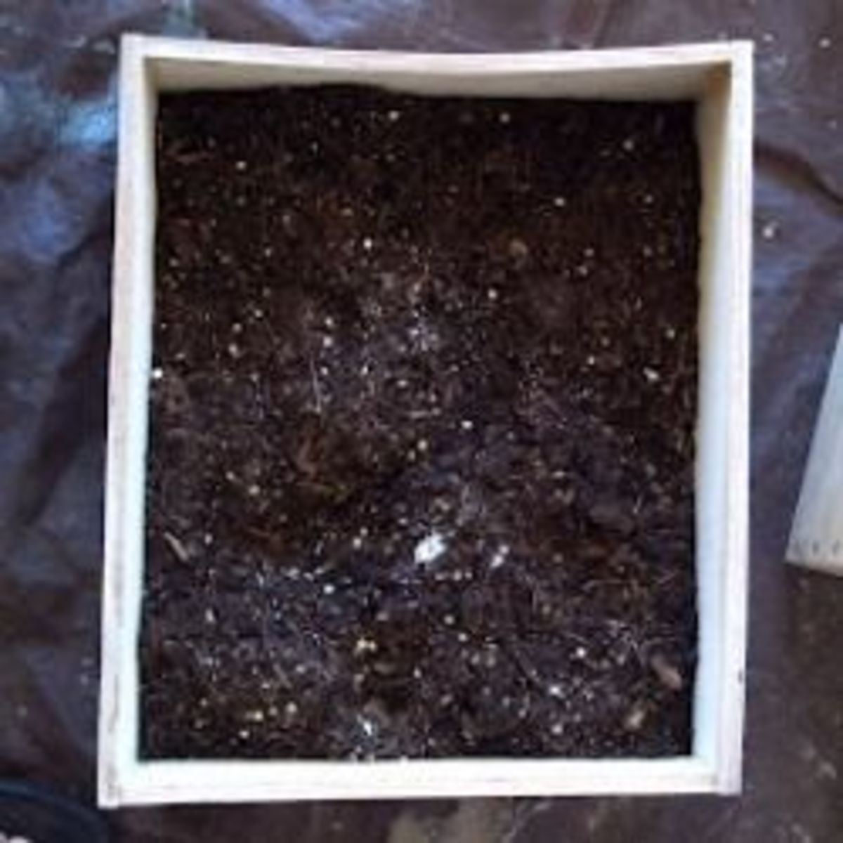 Fill the crate with potting soil and soil amendments.