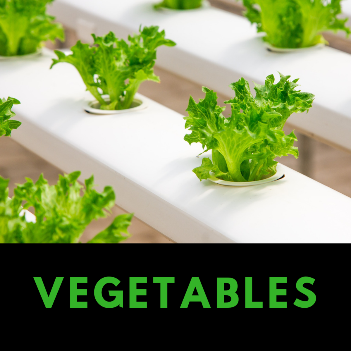 Vegetables can be grown hydroponically, too.