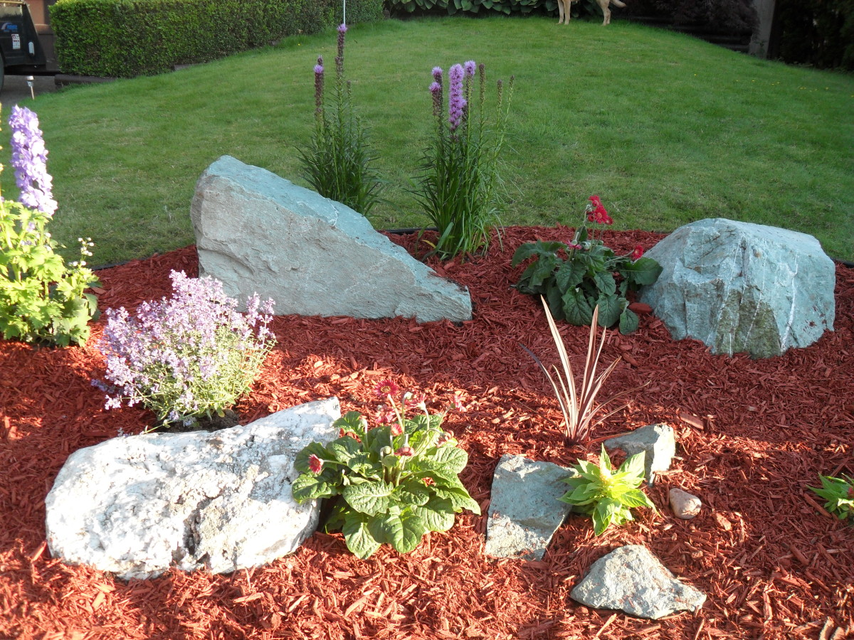 Our Completed Rock Garden!
