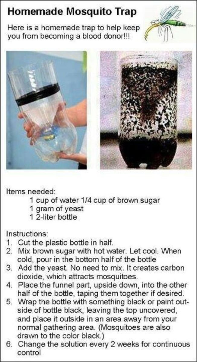 Simple DIY mosquito trap made out of a plastic bottle. Use it according to the instructions in the photo, and it will work perfect. 