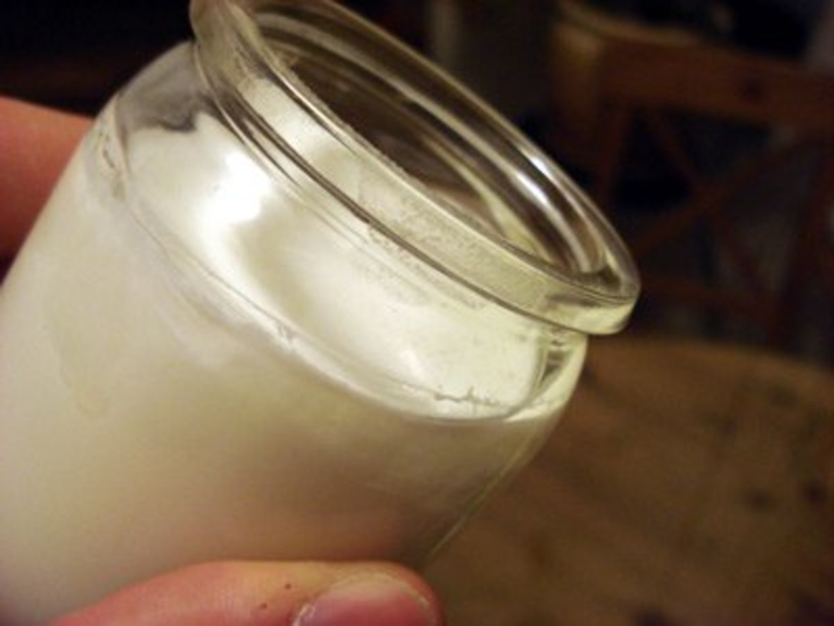 How to Make Yogurt: Step-by-Step Guide With Pictures