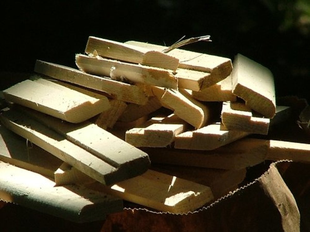 How to Light a Fire in a WoodBurning Stove Dengarden